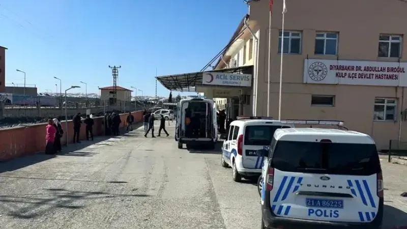 Diyarbakır'ın Kulp ilçesinde bir kişi, annesi ile babasını silahla katletti.  
