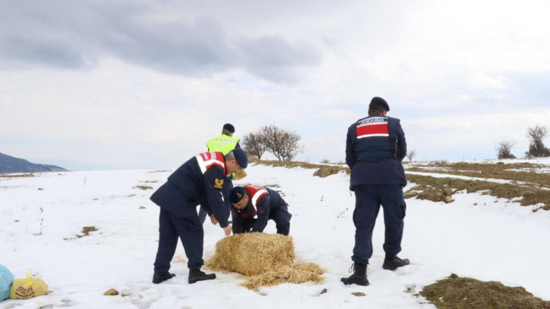 Amasya İl Jandarma Komutanlığı Yaban Hayvanları İçin Doğaya Yem ve Mama Bıraktı